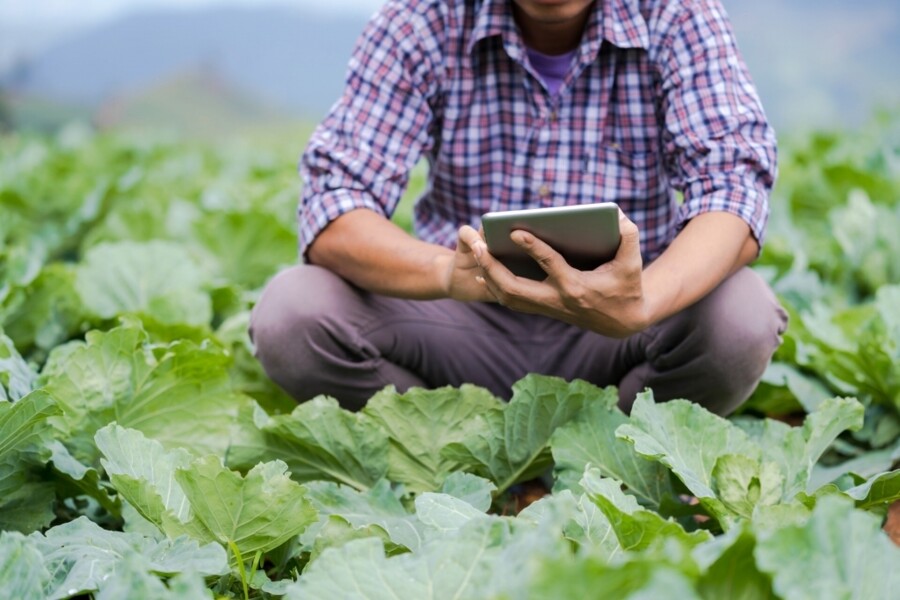 seguro-agricola-impulsionado-por-investimentos-bilionarios