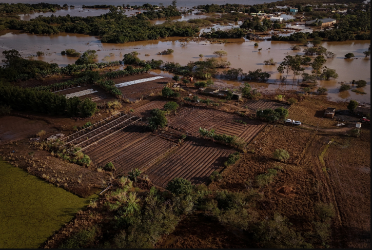 qual-o-papel-do-seguro-na-recuperacao-dos-produtores-rurais-do-rio-grande-do-sul