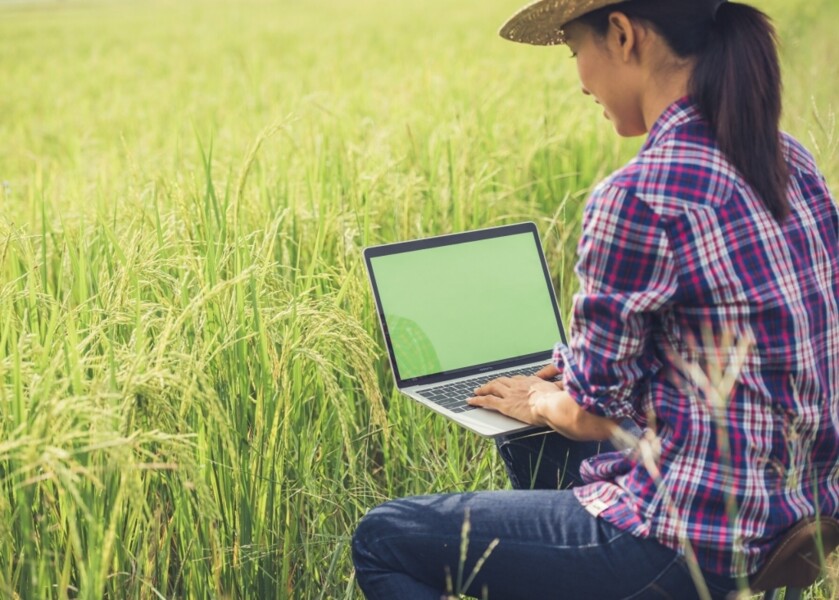 reuniao-da-catedra-do-agronegocio-da-ansp-discutira-o-tema-seguro-rural-como-indutor-de-tecnologia