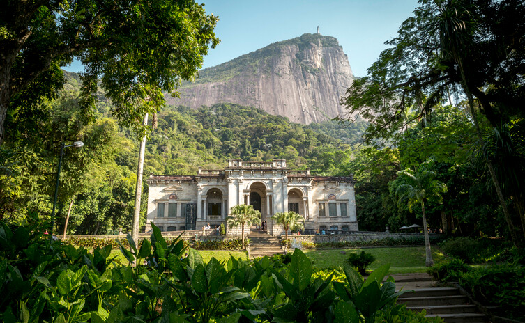 generali-celebra-centenario-no-brasil-com-plantio-de-arvores-no-rj-e-em-sp