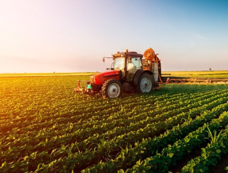 seguro-agricola-devolve-93-do-que-arrecada-no-rio-grande-do-sul