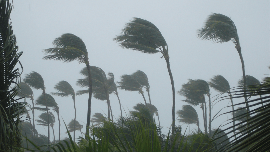 relatorio-da-aon-alerta-para-riscos-e-impactos-assimetricos-no-agronegocio-durante-o-super-el-nino